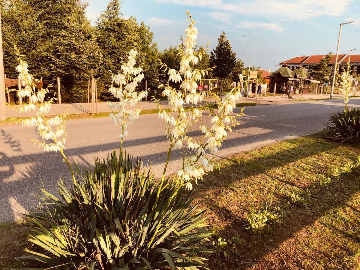 Club Thermal Village Цеглед Экстерьер фото